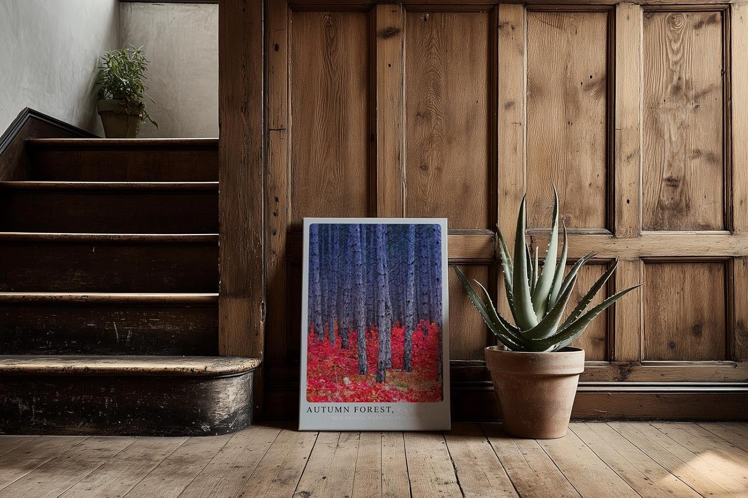 Paul Sinus Kunstdruck 40x60cm Autumn Forest Canada herbstlicher Wald mit rotem Laub und tiefen Baumstämmen in Kontraststimmung