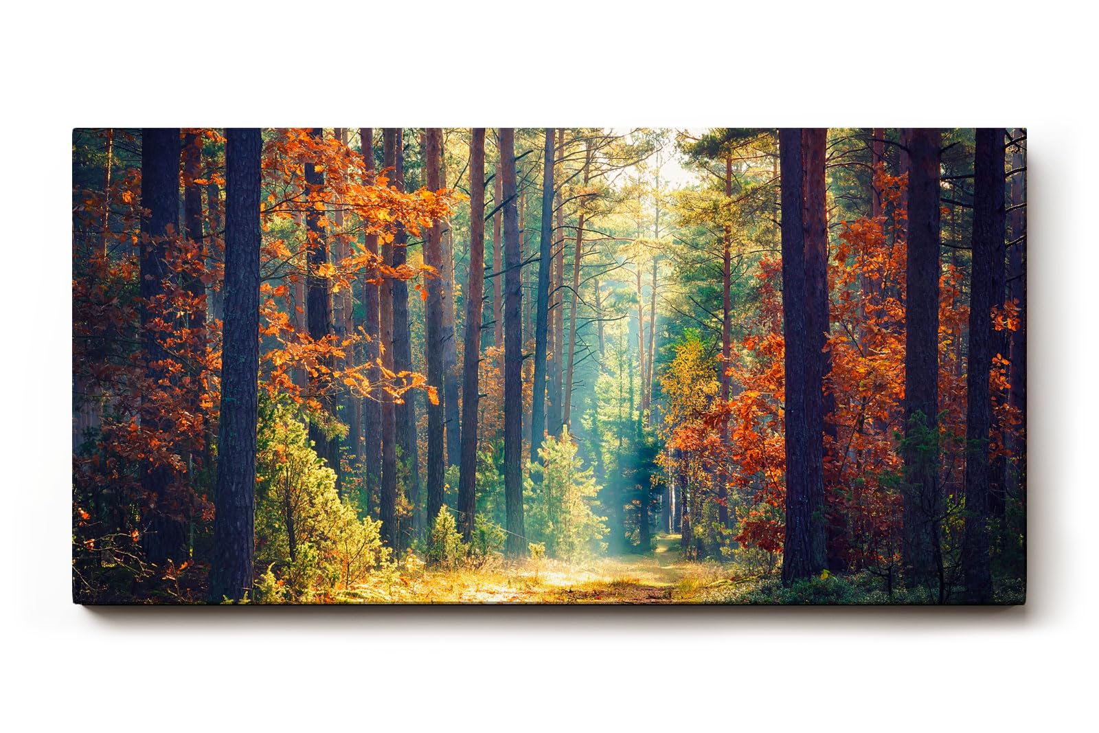 Sinus Art Wandbild 120x80cm Waldweg durch herbstlich gefärbten Wald mit Lichtspiel für gemütliche Raumwirkung