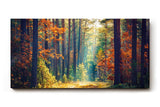 Sinus Art Wandbild 120x80cm Waldweg durch herbstlich gefärbten Wald mit Lichtspiel für gemütliche Raumwirkung