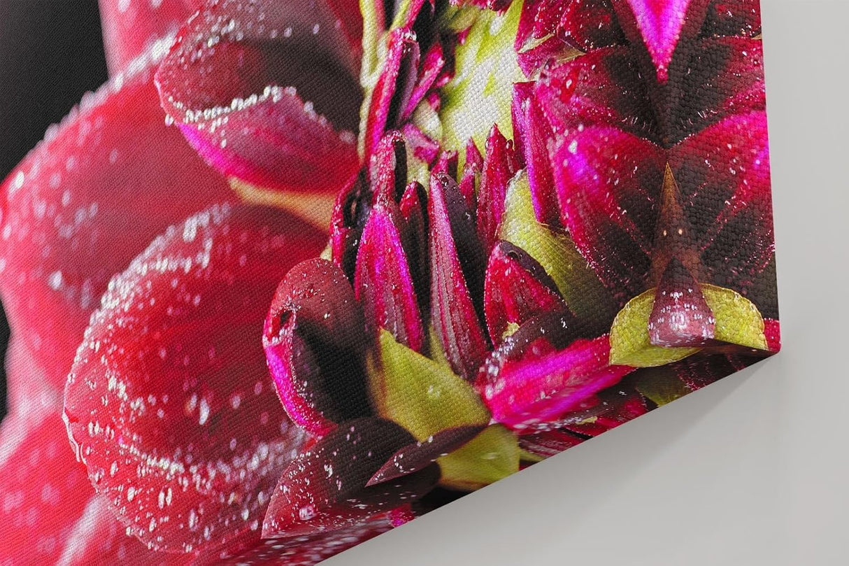 Sinus Art Wandbild 120x80cm Die glänzenden Tautropfen auf den roten Blütenblättern verleihen dem Bild eine frische Note