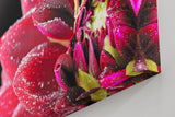Sinus Art Wandbild 120x80cm Die glänzenden Tautropfen auf den roten Blütenblättern verleihen dem Bild eine frische Note