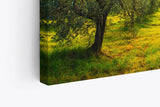 Paul Sinus Wandbild 120x80cm Italien Toskana Landschaft Bäume Grün Sonnenuntergang