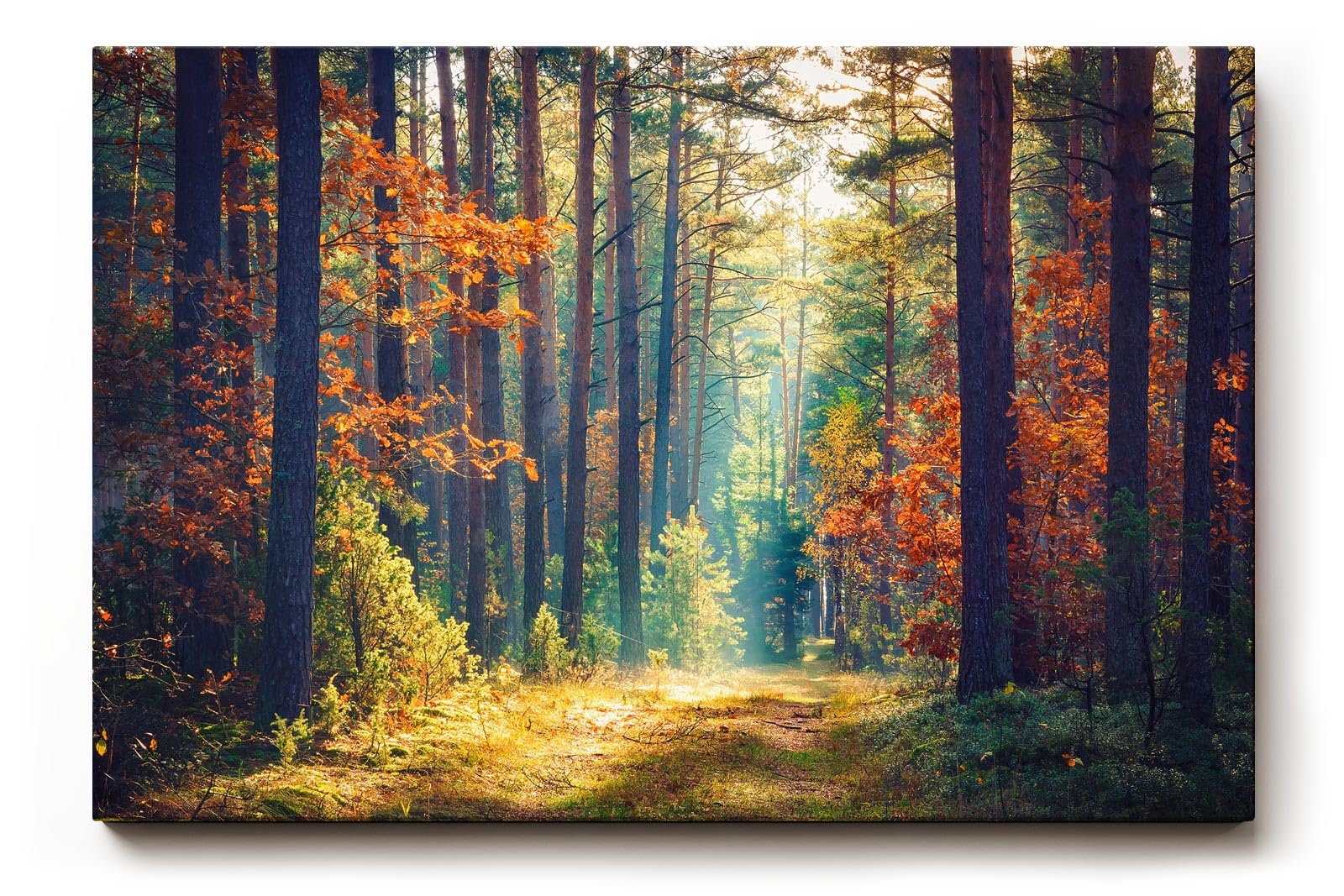 Sinus Art Wandbild 120x80cm Waldweg durch herbstlich gefärbten Wald mit Lichtspiel für gemütliche Raumwirkung