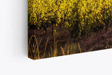 Paul Sinus Wandbild 120x80cm Frankreich Weinfelder Weinstöcke Landschaft Sonnenuntergang
