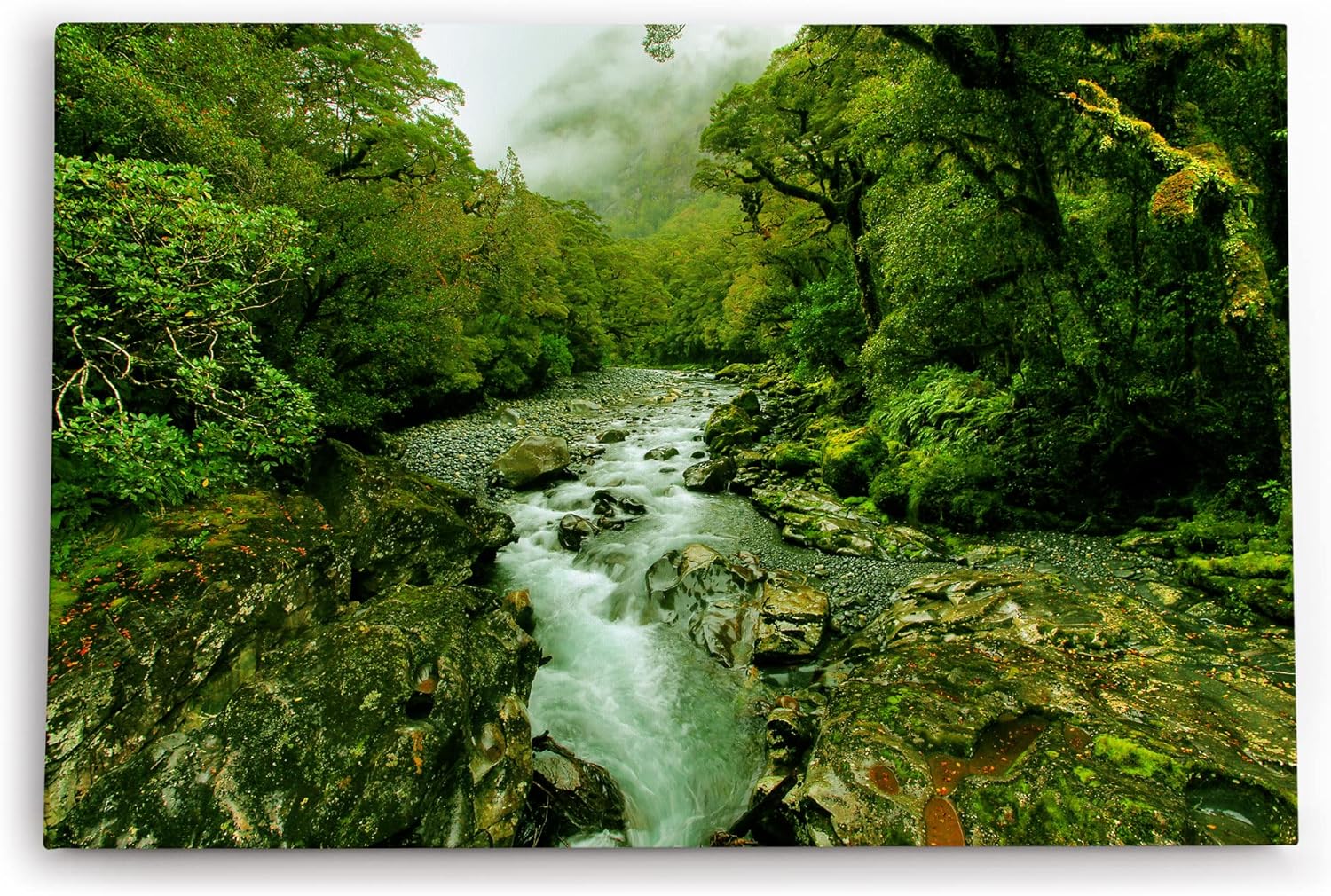 Paul Sinus Wandbild 120x80cm Bach Naturbach Dschungel Grün Bäume Wasser