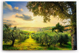 Paul Sinus Wandbild 120x80cm Italien Toskana Landschaft Bäume Grün Sonnenuntergang