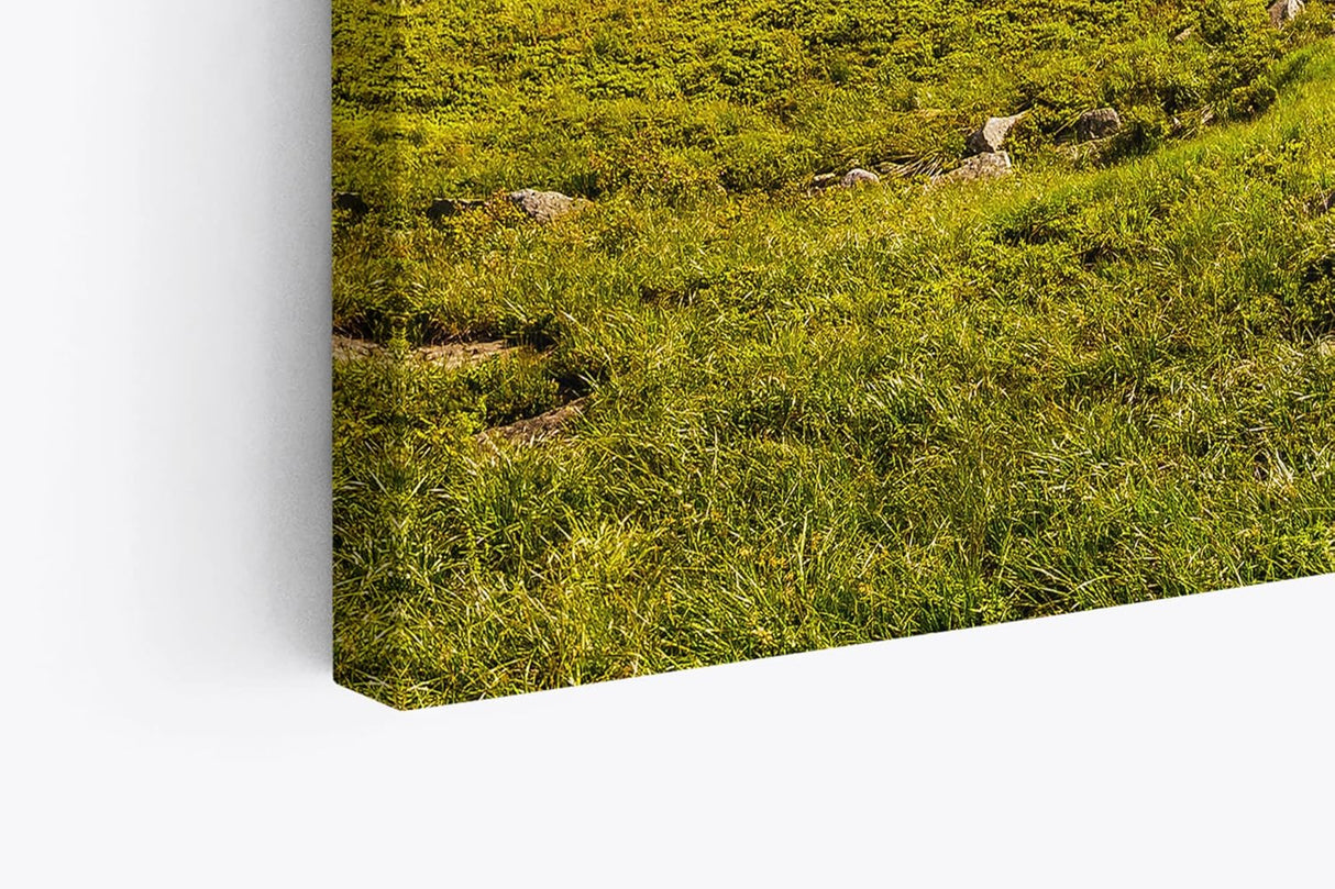 Paul Sinus Wandbild 120x80cm Südtirol Dolomiten Berglandschaft Sonnenschein Wiese