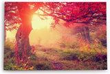 Wandbild 120x80cm Wald Herbst rote Blätter Natur Baum Eiche Sonnenschein