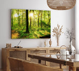Paul Sinus Wandbild 120x80cm Wald Bäume Sonnenschein Grün Natur Sonnenstrahl