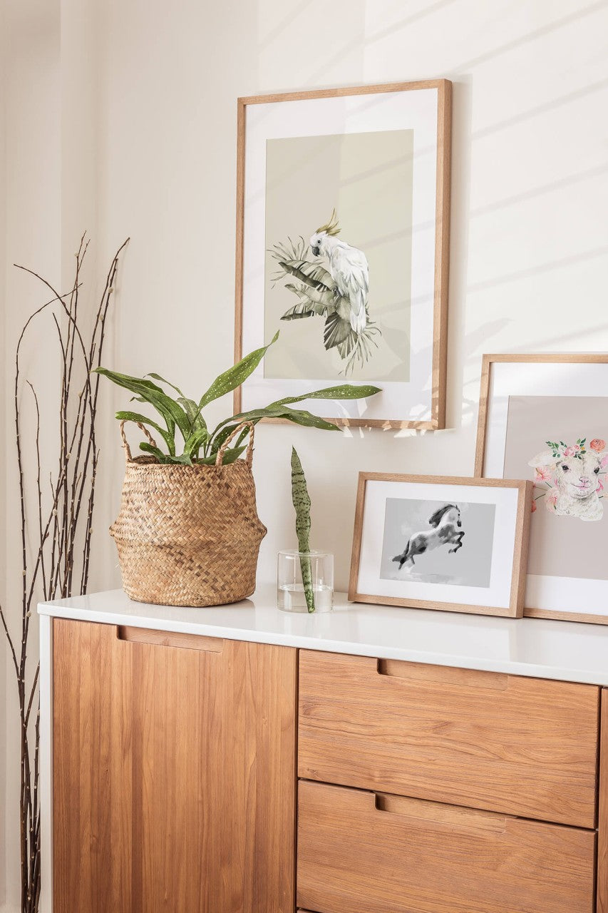 Animals_Aqua_0055DwhMBEWvTCisc_1280x1280.jpg