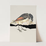 Birds_Aqua_0003_1280x1280.jpg