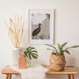 Birds_Aqua_0039XgaxmiSq5x9CZ_1280x1280.jpg