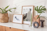 Birds_Aqua_0039ksEQjHGtY15bH_1280x1280.jpg