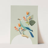 Birds_Aqua_0048_1280x1280.jpg