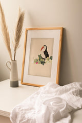 Birds_Aqua_0052V4gD55b62O3fN_1280x1280.jpg