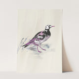 Birds_Aqua_0063_1280x1280.jpg