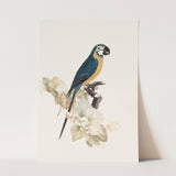 Birds_Aqua_0066_1280x1280.jpg