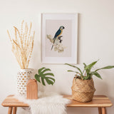 Birds_Aqua_0066cSVlirUWBAilL_1280x1280.jpg