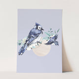 Birds_Aqua_0078_1280x1280.jpg