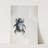 Insects_Aqua_0016_1280x1280.jpg
