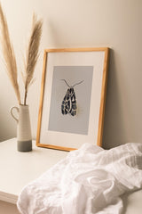 Insects_Aqua_0023wcpvanG9XhUYY_1280x1280.jpg