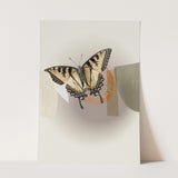 Insects_Aqua_0047_1280x1280.jpg