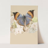 Insects_Aqua_0068_1280x1280.jpg