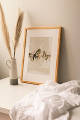 Insects_Aqua_0076PQRGaZFrWxbqk_1280x1280.jpg