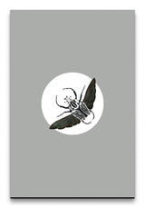 Insekten_003_1280x1280.jpg