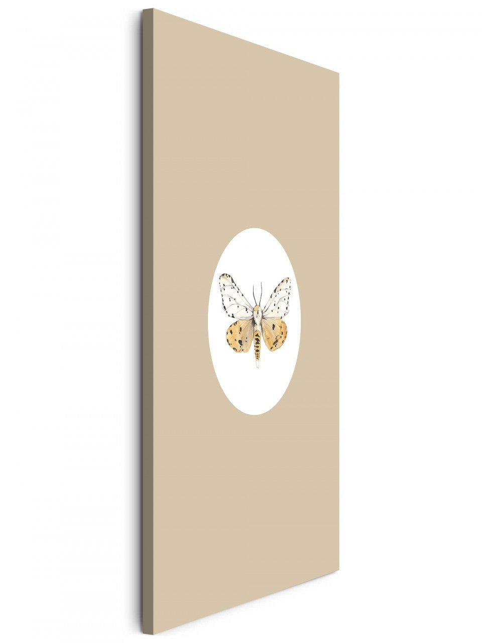 Insekten_004vOzxEpGnSAGoR_1280x1280.jpg