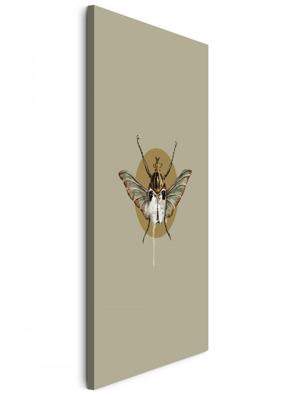 Insekten_006dhL6ZiVUYLlfg_1280x1280.jpg