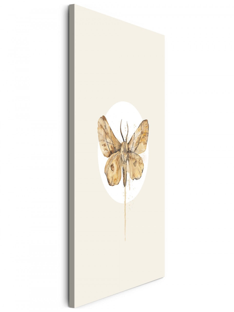 Insekten_013m6fEasf81cgKu_1280x1280.jpg