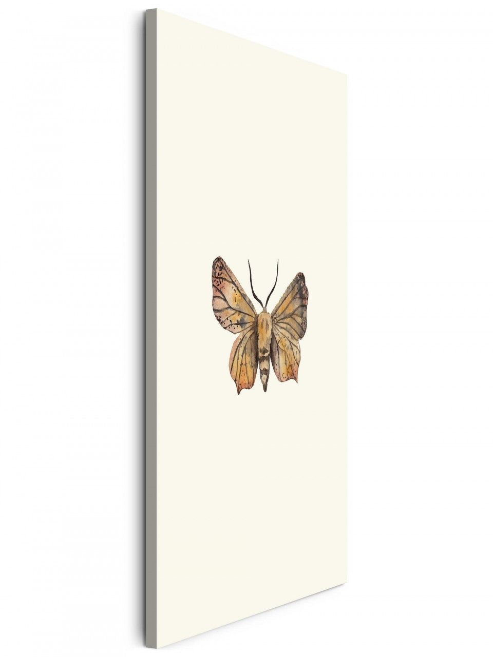 Insekten_033wmRyHQh7oTgFZ_1280x1280.jpg