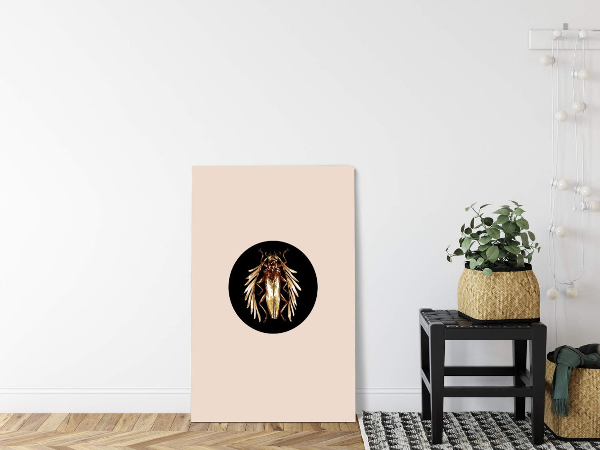 Insekten_044VQ1gpKQyhHULn_1280x1280.jpg