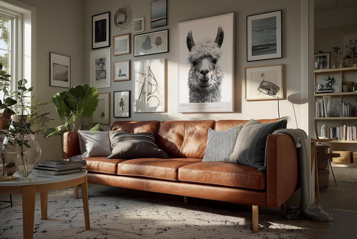 Paul Sinus Wandbild in 40x60cm Bad Hair Llama – humorvolles Lama-Porträt in Schwarz-Weiß mit witzigem Ausdruck