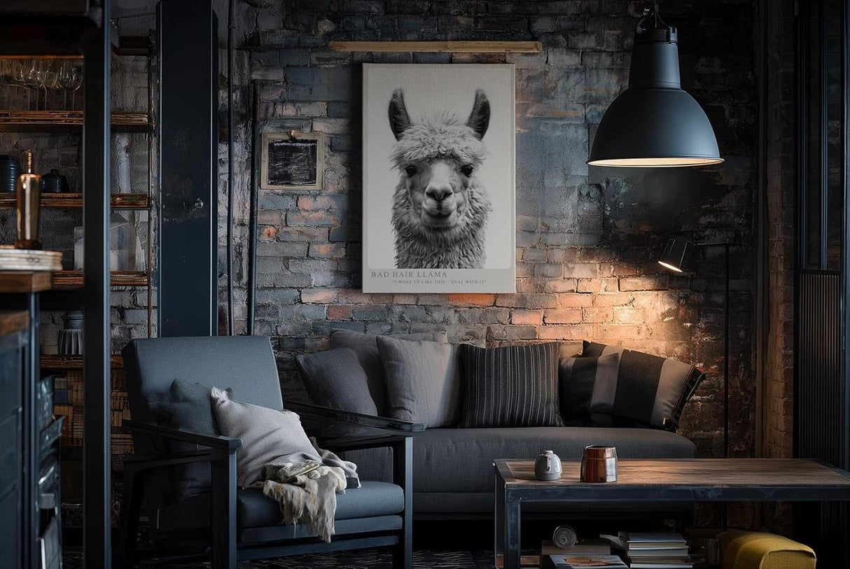 Paul Sinus Wandbild in 40x60cm Bad Hair Llama – humorvolles Lama-Porträt in Schwarz-Weiß mit witzigem Ausdruck
