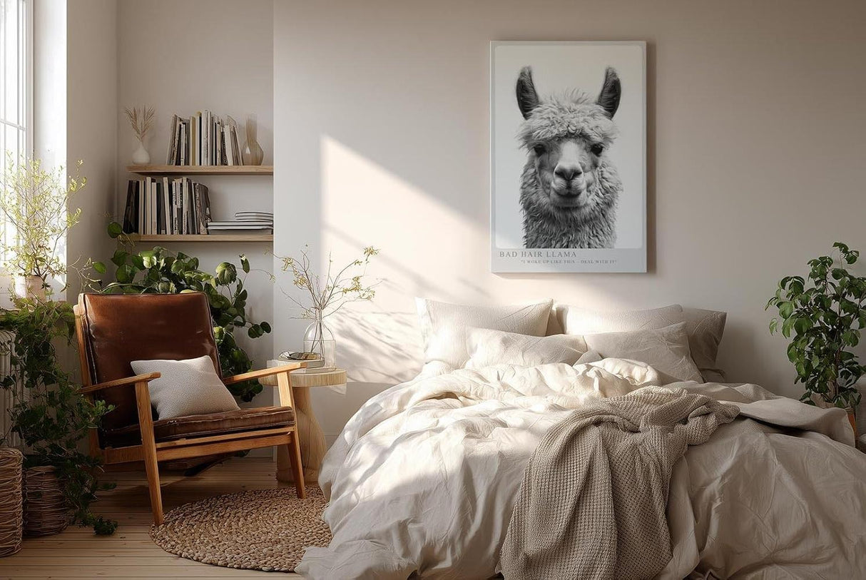 Paul Sinus Wandbild in 40x60cm Bad Hair Llama – humorvolles Lama-Porträt in Schwarz-Weiß mit witzigem Ausdruck