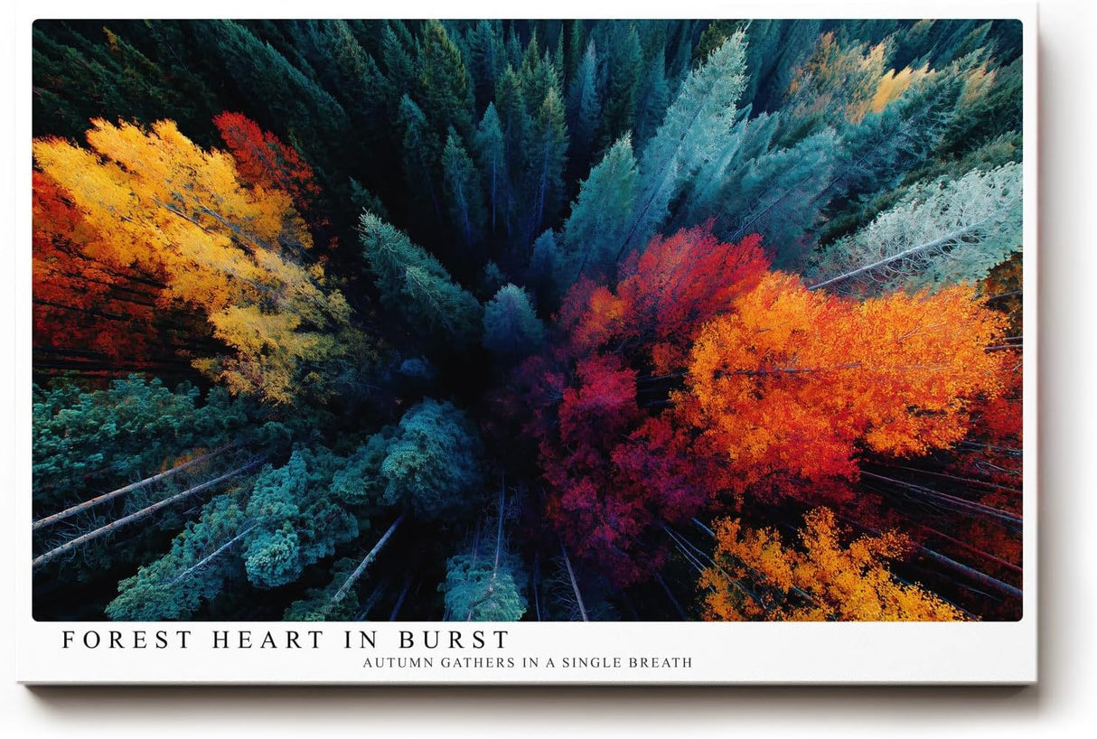 Paul Sinus Wandbild 120x80cm Herbstwald Luftaufnahme Natur Landschaft Kunstmotiv Bunte Baumkronen von oben