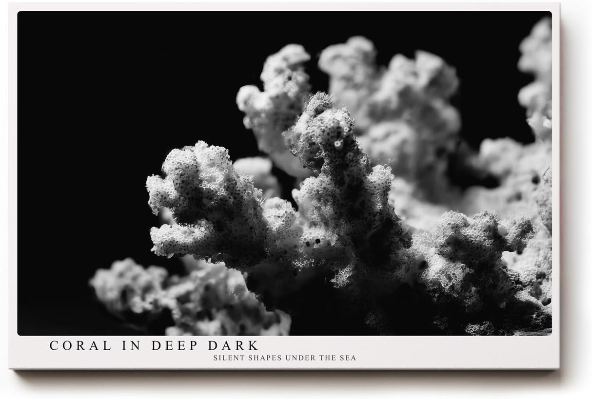 Paul Sinus Wandbild 120x80cm Koralle schwarz weiß Fotokunst Meeresmotiv minimalistische Unterwasser Natur Kunst modernes Wandbild 120x80cm stilvolle