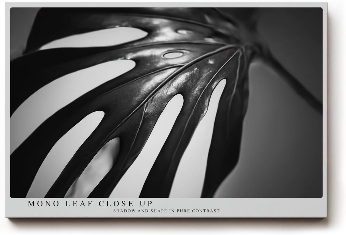 Paul Sinus Wandbild 120x80cm Monstera Blatt schwarz weiß Makro Pflanzenstruktur minimalistische Naturfotografie moderne botanische