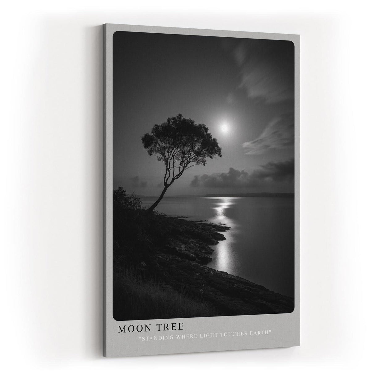 Paul Sinus Wandbild in 40x60cm Moon Tree – stimmungsvolle Schwarz-Weiß-Landschaft mit Baum am Ufer im Mondlicht