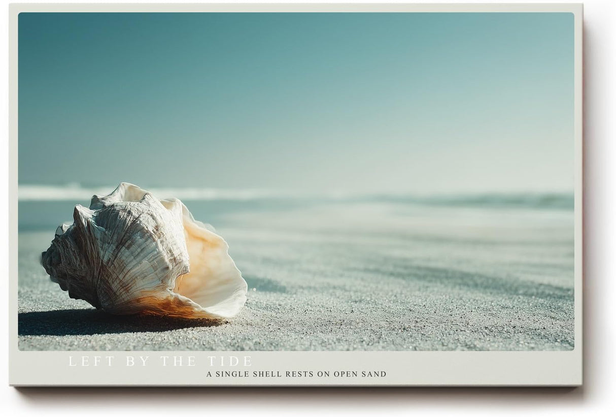 Paul Sinus Wandbild 120x80cm Muschel Strand minimalistische Naturfotografie ruhiges Meeresmotiv stilvolle Wanddekoration fuer Wohnzimmer Büro