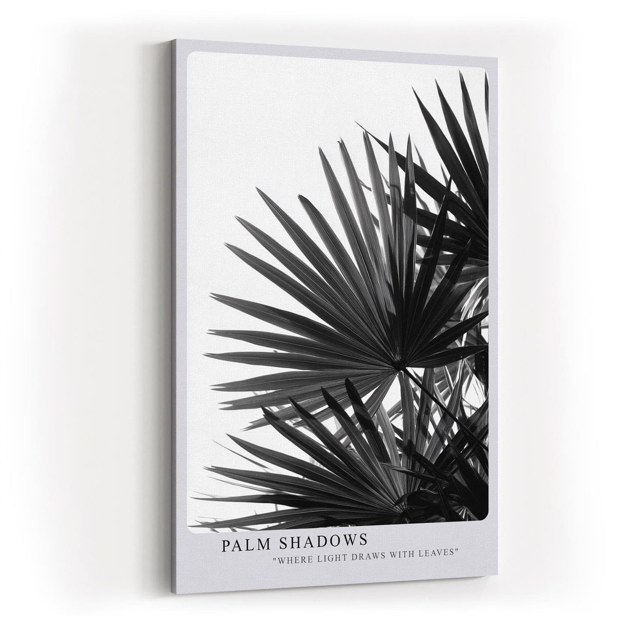 Paul Sinus Wandbild in 40x60cm Palm Shadows – Schwarz-weißes Palmenblattmotiv mit markanten Lichtund Schattenspielen