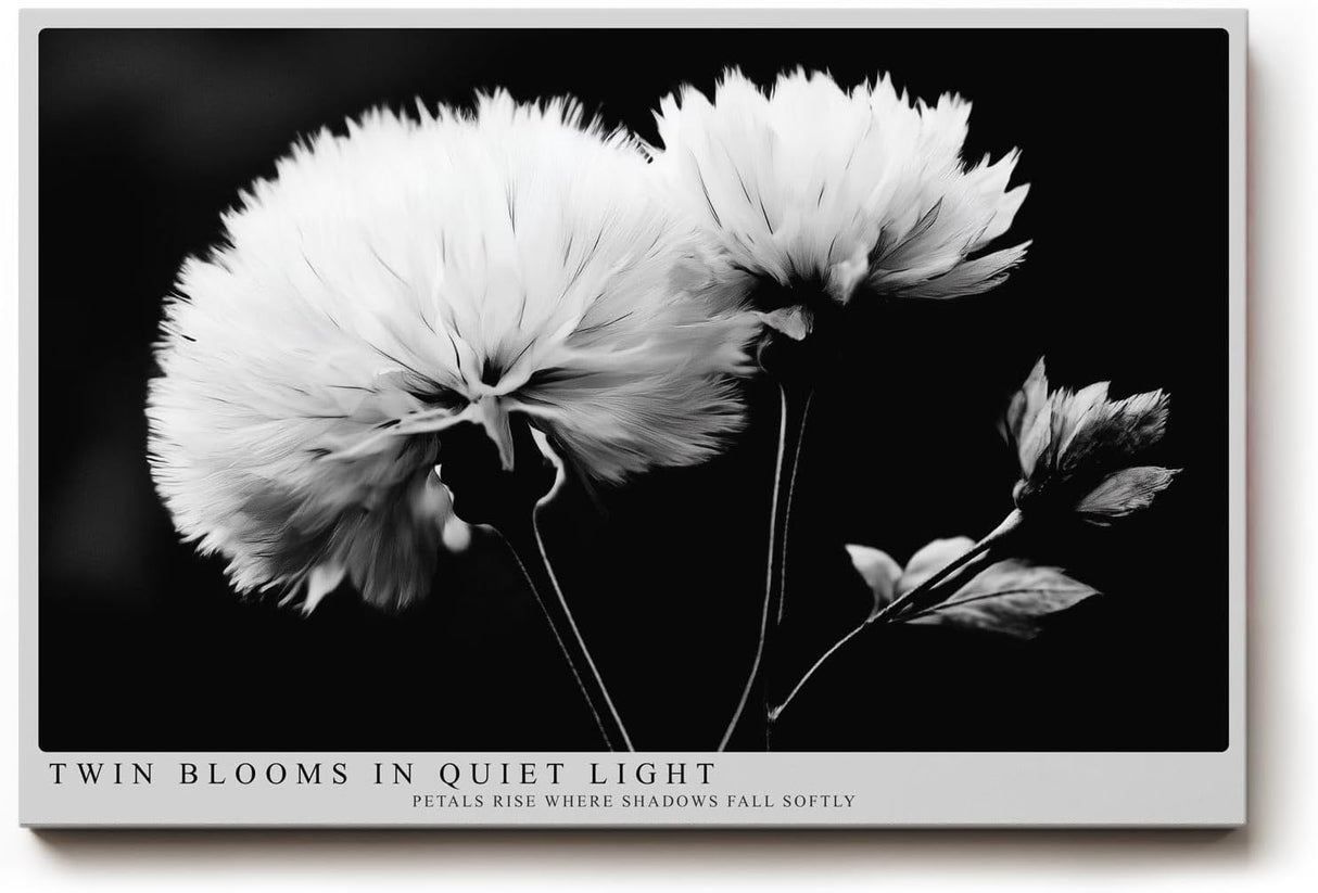 Paul Sinus Wandbild 120x80cm Schwarz Weiss Blumen Duo elegante Makro Naturfotografie moderne Wanddekoration