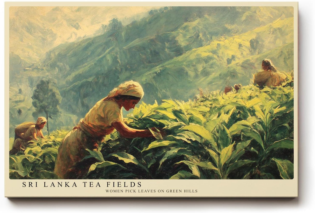 Paul Sinus Wandbild 120x80cm Teeplantagen in Sri Lanka – Ruhige Landschaft mit traditioneller Erntearbeit in grünen Hügeln