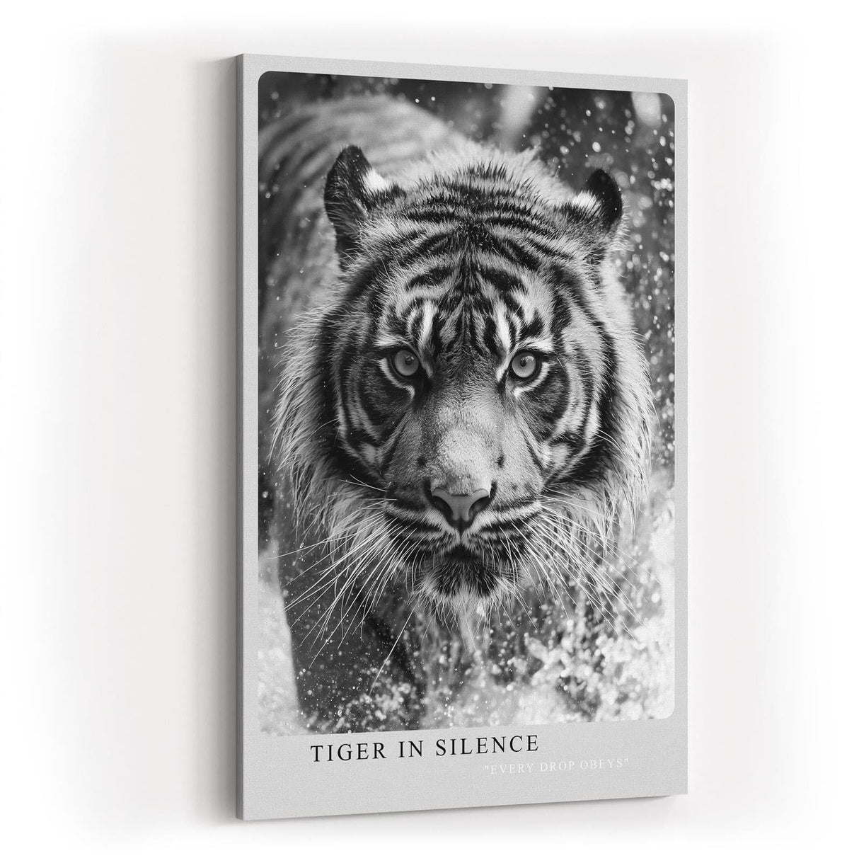 Paul Sinus Wandbild in 40x60cm Tiger in Silence – Ausdrucksstarkes Schwarz-Weiß-Porträt eines Tigers im Wasser