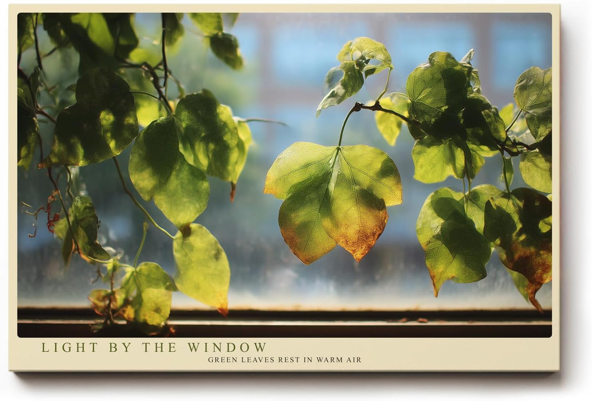 Paul Sinus Wandbild 120x80cm gruene Blaetter Fensterlicht Naturfotografie modern Kunstdruck grosses Natur Kunstbild ruhige Wanddekoration fuer Wohnzimmer Büro