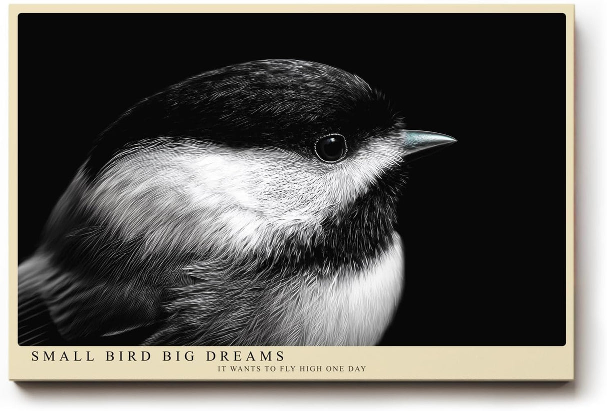 Paul Sinus Wandbild 120x80cm kleiner Vogel Nahaufnahme Fotokunst schwarz weiss minimalistische Tierfotografie ruhiges Naturmotiv stilvolle