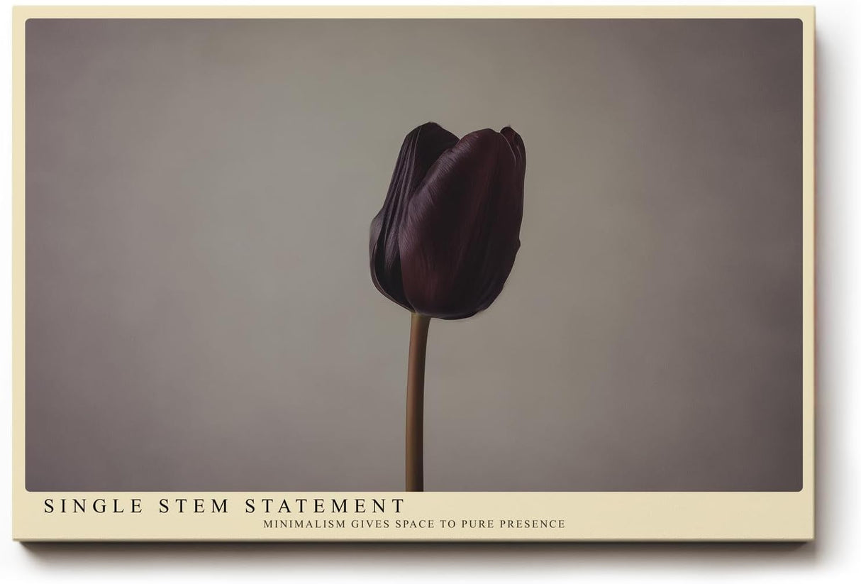 Paul Sinus Wandbild 120x80cm minimalistische Tulpe dunkle Blume auf hellem Hintergrund moderne Fotokunst ruhige Natur Wanddekoration fuer Wohnzimmer Büro