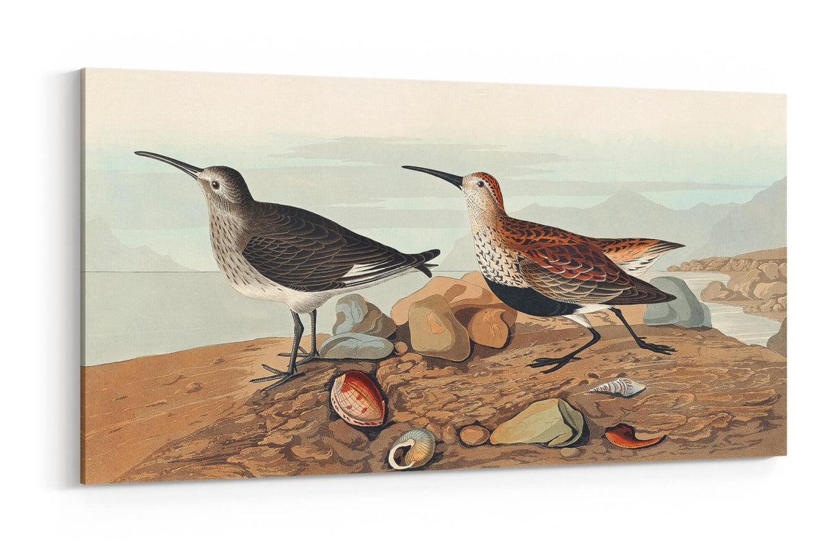 Remast_0253qF5irKWaaurtl_1280x1280.jpg